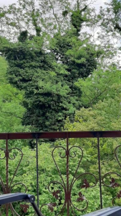 House At The Forest / Სახლი Ტყის Პირას Gordi Extérieur photo