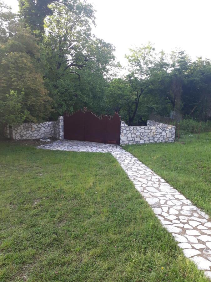 House At The Forest / Სახლი Ტყის Პირას Gordi Extérieur photo